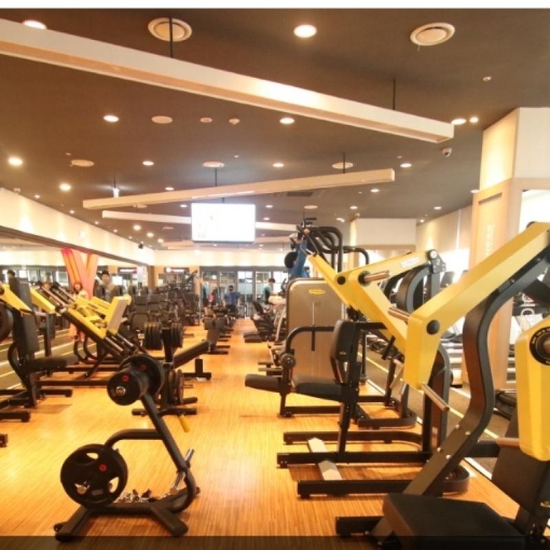 투엑스 센트라스점 헬스와 피티 양도합니다.