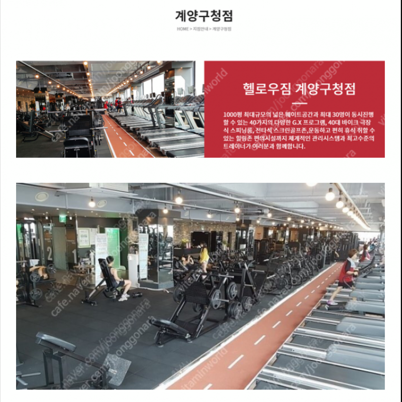 헬로우짐 계양구청점 10개월 회원권 양도합니다(양도비무료)