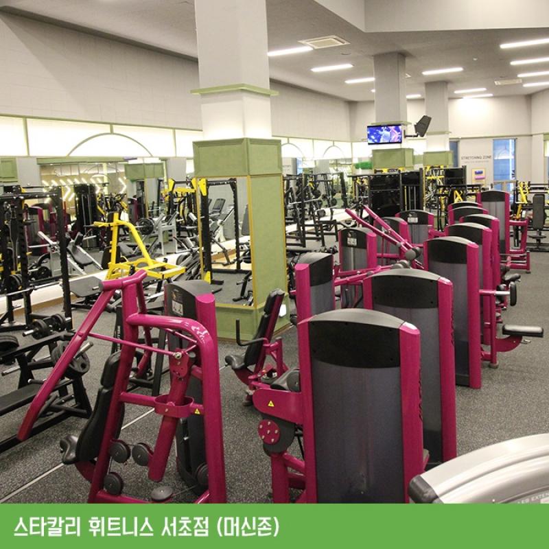 서초 스타칼리 휘트니스 헬스 회원권 양도합니다.