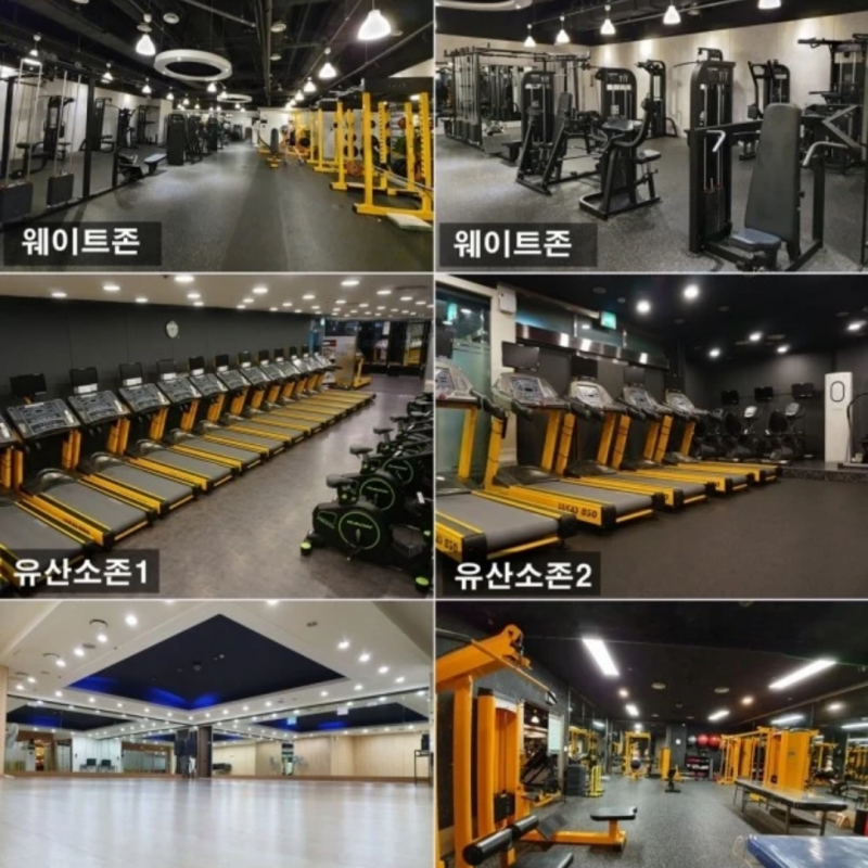 화정 8개월 헬스권 급처!!!@@@