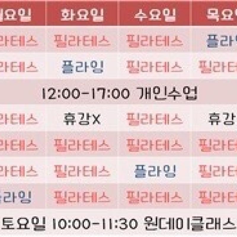 동인천 바디홀릭(수디아)필라테스 6개월권