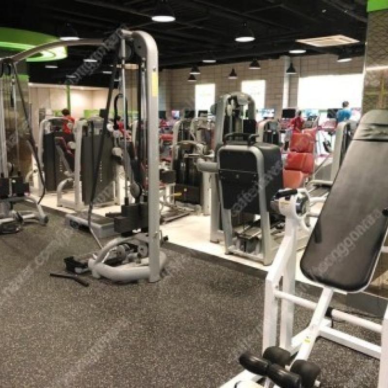 헬스+PT 포함해서 양도 합니다