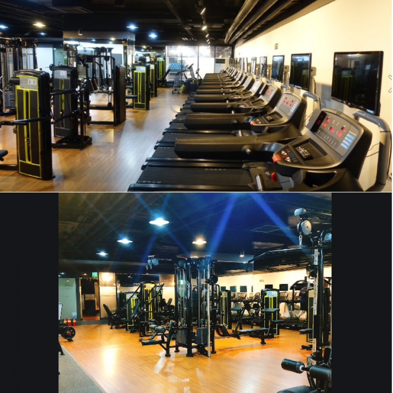 마포구 서울 마포구 도화동( 헬스이용권 8개월이상+개인락커+운동복)