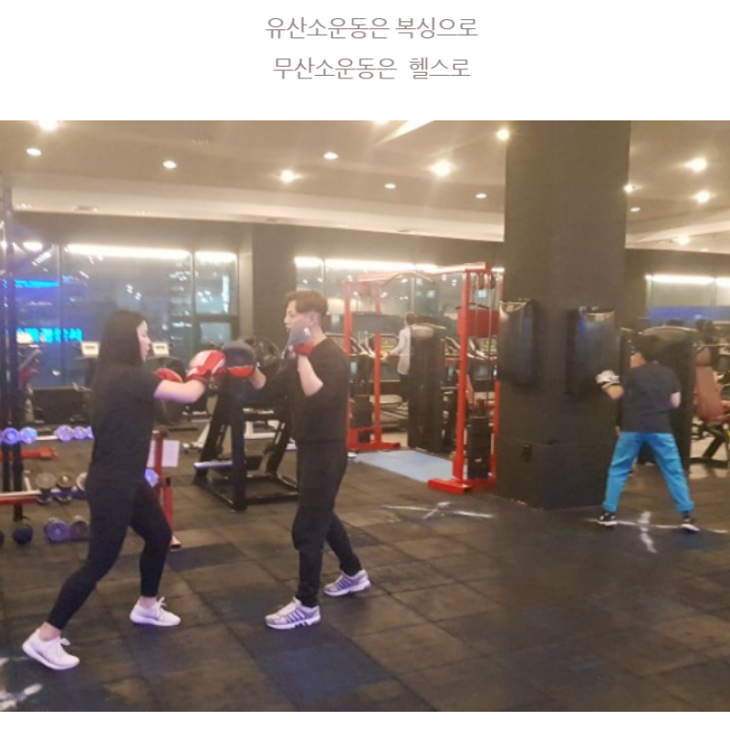  복싱 회원권 양도