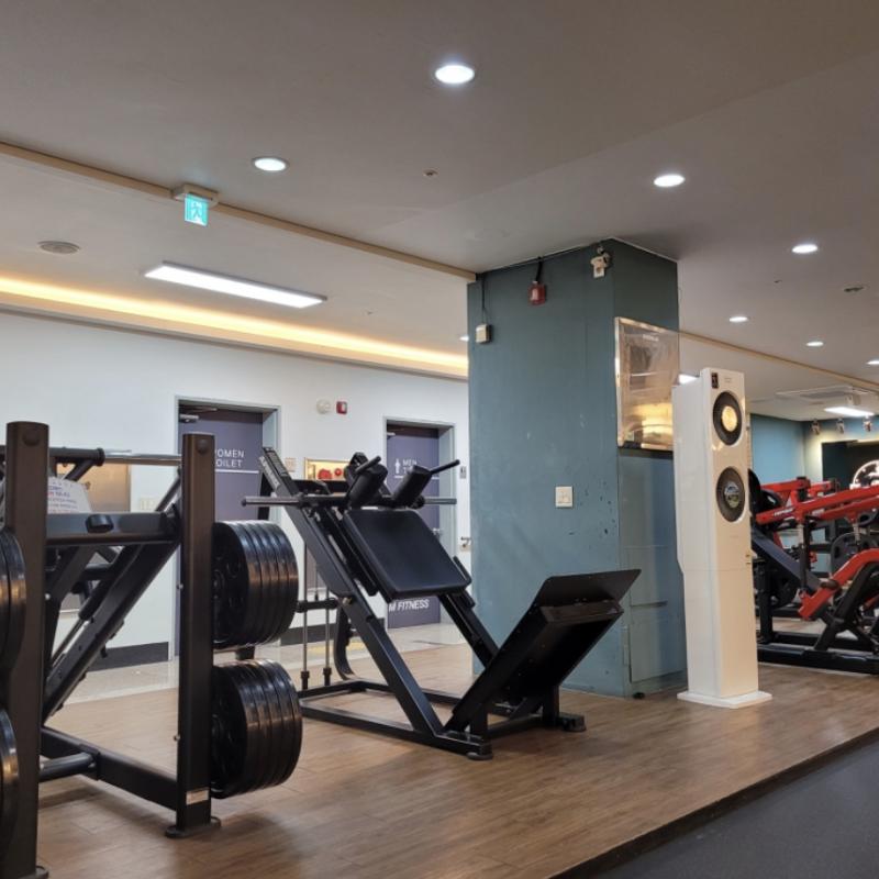 더엠휘트니스 1:1 pt 26회권 회당 4만원에 양도합니다