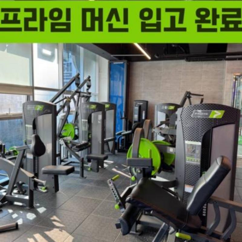 디짐 10개월분 양도