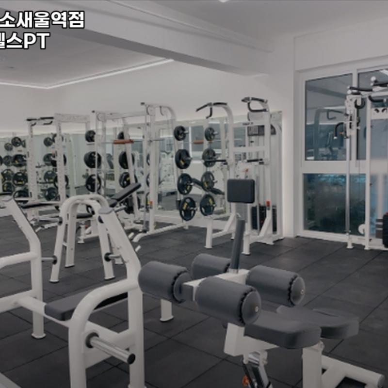 소새울 피타짐 피티 양도합니다(19회)